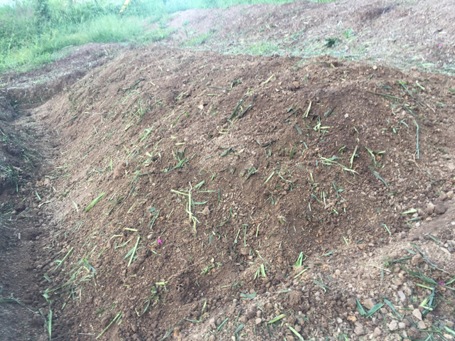 畑に、緑肥・乳酸菌もみがらぼかし・有機石灰を鋤き込んだ状態