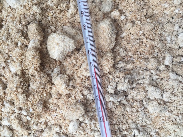 玄米アミノ酸米ぬかぼかしの発酵温度