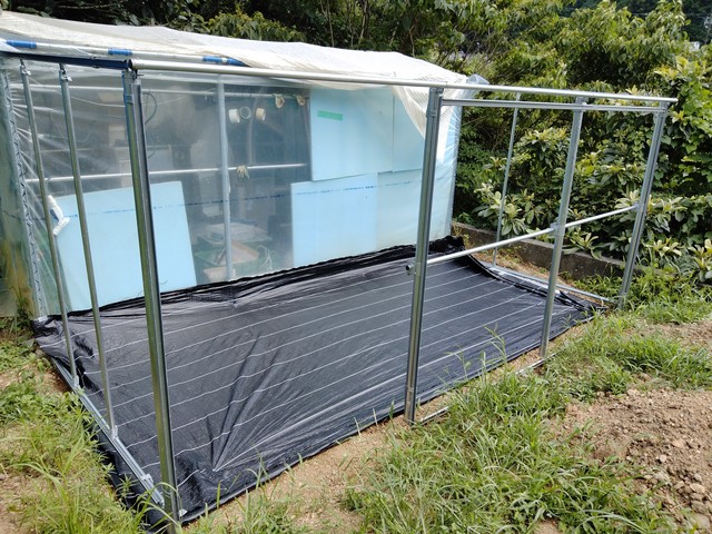 屋根に雨水がたまり・レンズ効果で地面の防草シートが溶けるーパイプ小屋の拡張大作戦(6) | あめつち菜人